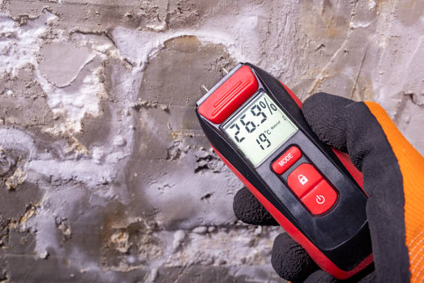 Best Attic Mold Removal  in Lewisville, TX