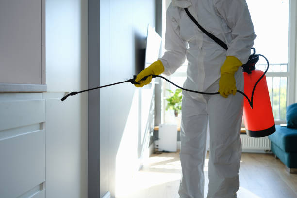 Best Residential Mold Removal  in Lewisville, TX