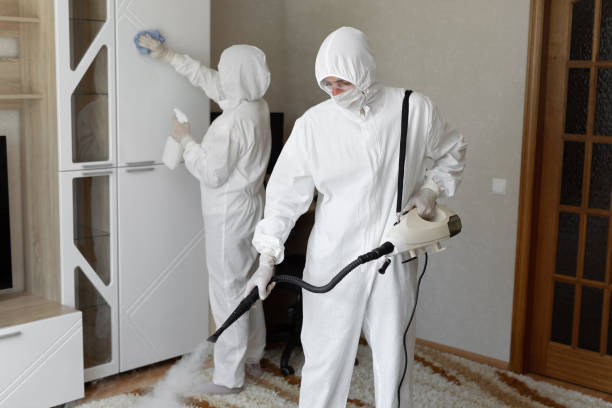 Professional Mold Removal in Lewisville, TX