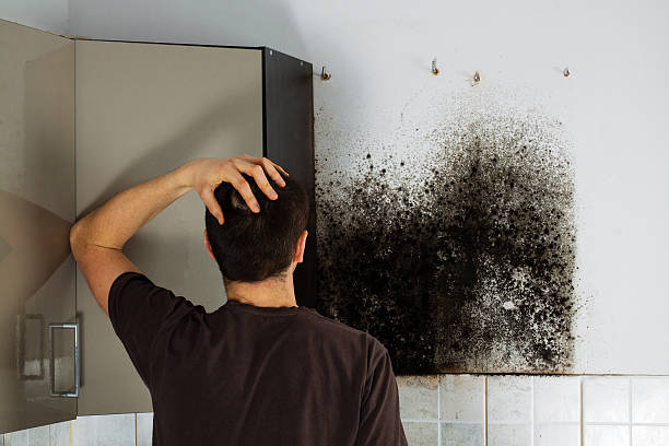 Best Mold Damage Repair  in Lewisville, TX